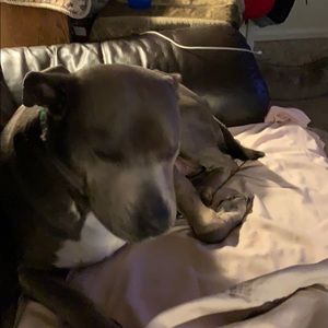 Meet your Posher, Kim